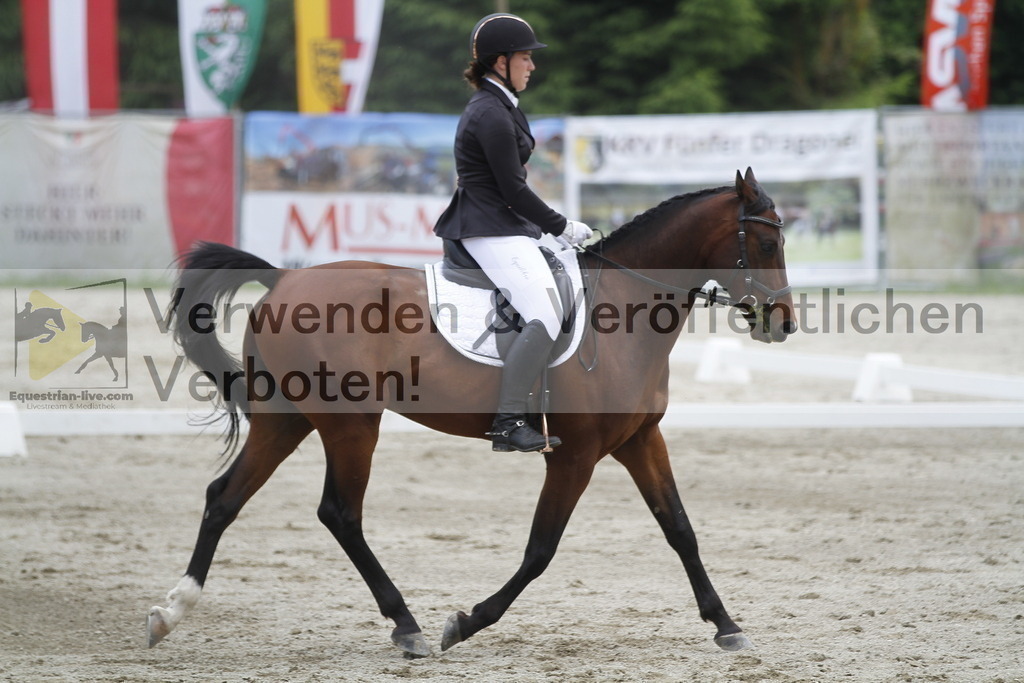 _MG_1662 | equestrian-live-com