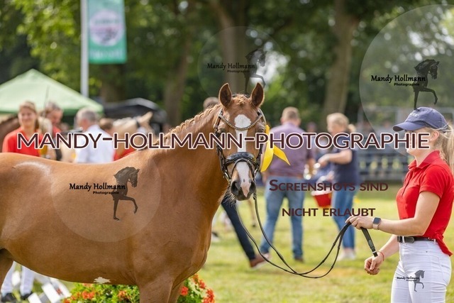 LTN STUTEN 2 (16) | mandyhollmannphotographie