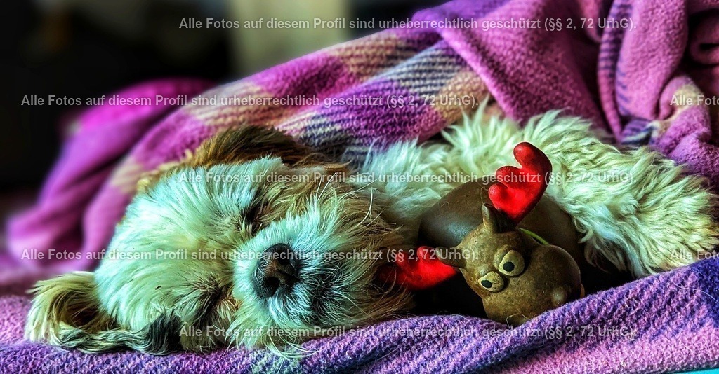 PXL_20230517_185252101_exported_1684350995487_3-01 | krollfotografie - Realisiert mit Pictrs.com