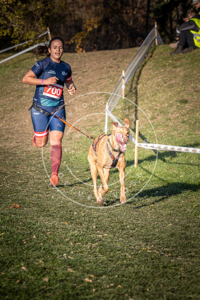 CaniXpix_0L8A9449 | Hundefotografie, Tierfotograf, Pfotenfotografie, Fotoshooting Hund, Hunde Portrait, Hundesport, Hundeportraits, Heideshooting, Hunde, Sportfotograf, Hundefotograf, Turnierhundsport, THS,  - Realisiert mit Pictrs.com