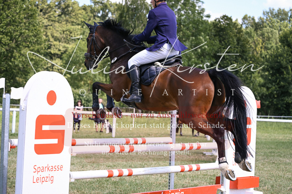 DSC_0421 | Pferde- und Turnierfotografie in Westsachsen. Pferdeportraits, Auftragszeichnungen und intuitive Kunst.