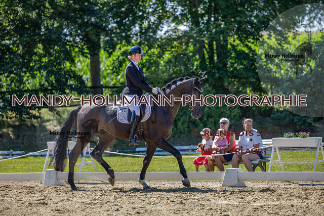 15.8.25 -3- DRE A-117 | mandyhollmannphotographie