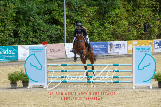 DKP40615 | Turniersportfotografie; Pferdefotografie; Dressurfotografie