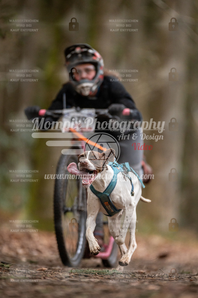 SPA_2023_DIM_Scooter-36 | PayLife