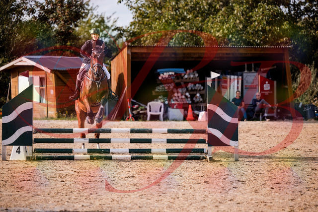 2026_10_03_Siefer-Hof_155604_Z81_75261592 | Professionelle Reitsport-, Turnier- und Eventfotografie von Robert Broda. Galerien mit ausgewählten und bearbeiteten Bildern direkt online ansehen und bestellen.
