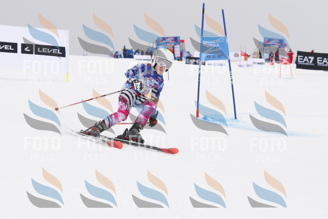 _W1G2037 | holidayphoto