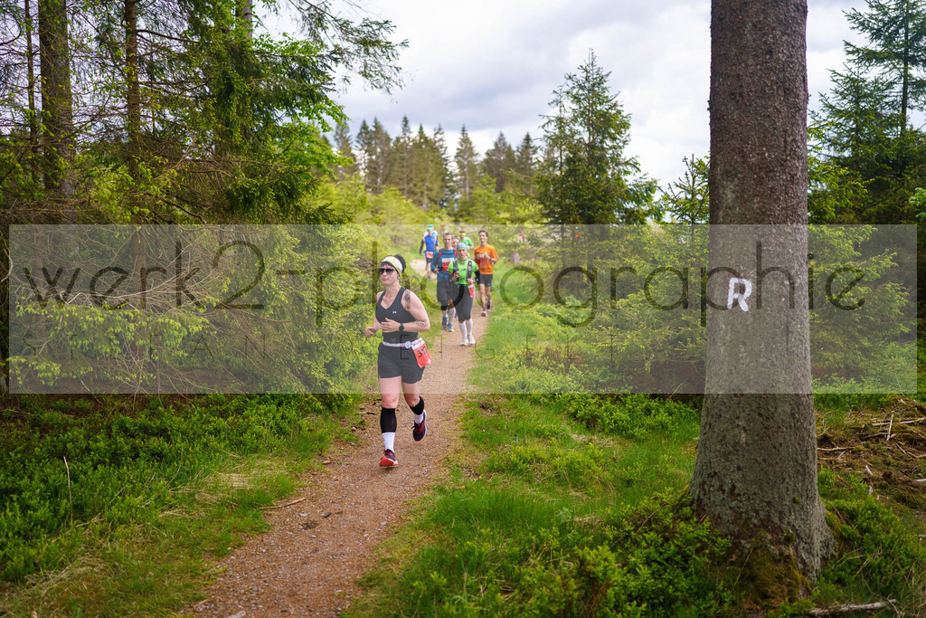 Rennsteiglauf Marathon 2025 | Marathon von Neuhaus/Rwg. nach Schmiedefeld/Rstg. am 17. Mai 2025