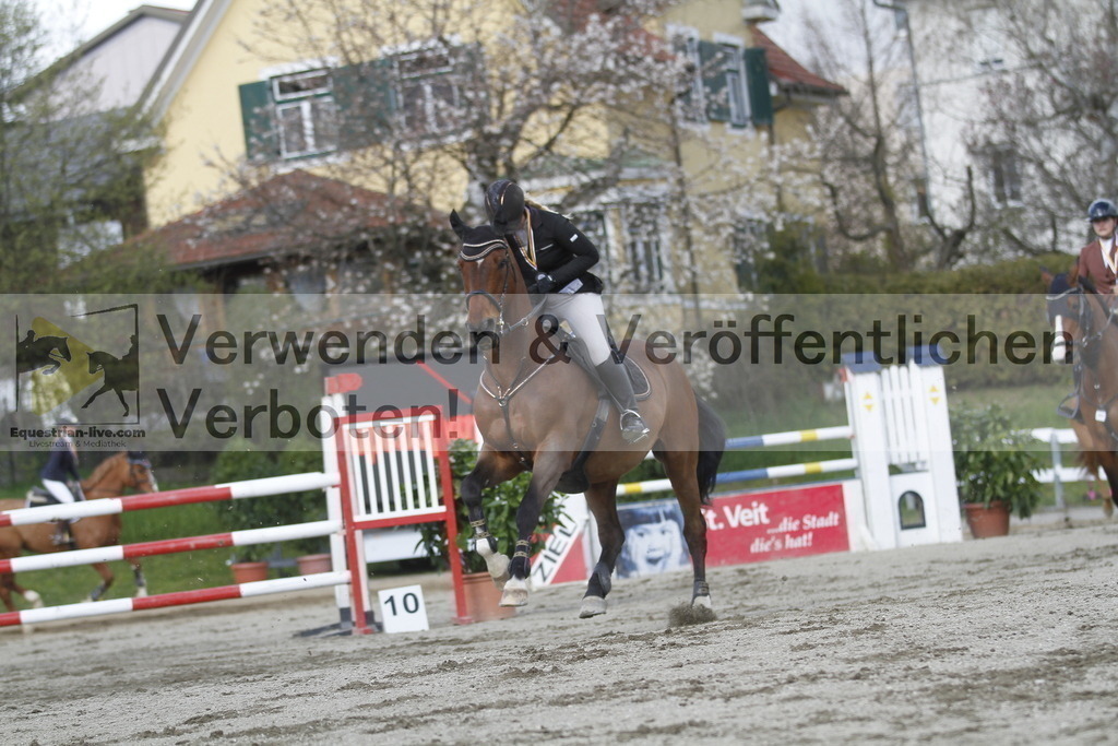 _MG_8843 | equestrian-live-com