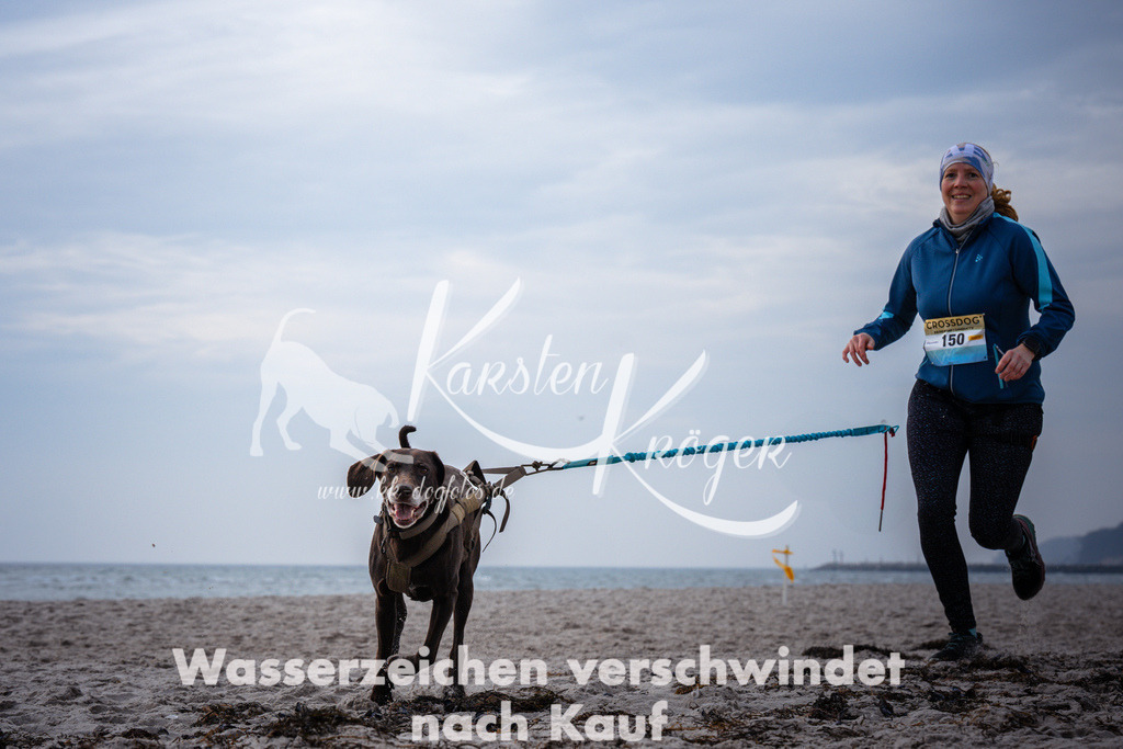 1042_ZZ96162 | kk-dogfotos