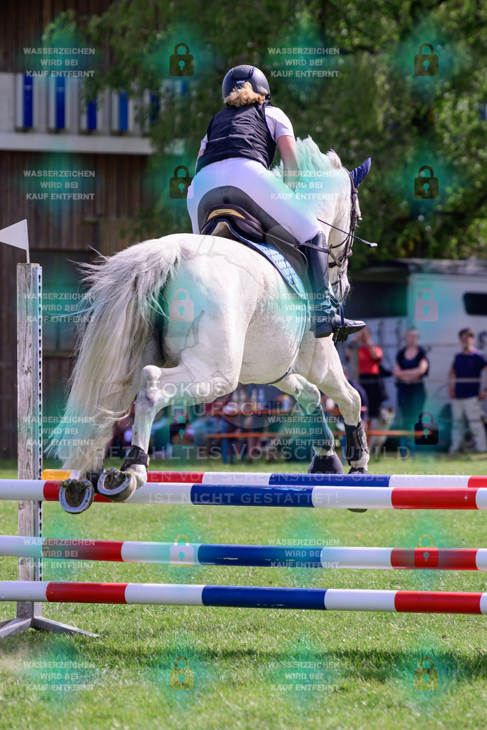 30052026-Forstinning-Prfg20-0139 | Fokus Hufschlag Fotografie - Realisiert mit Pictrs.com