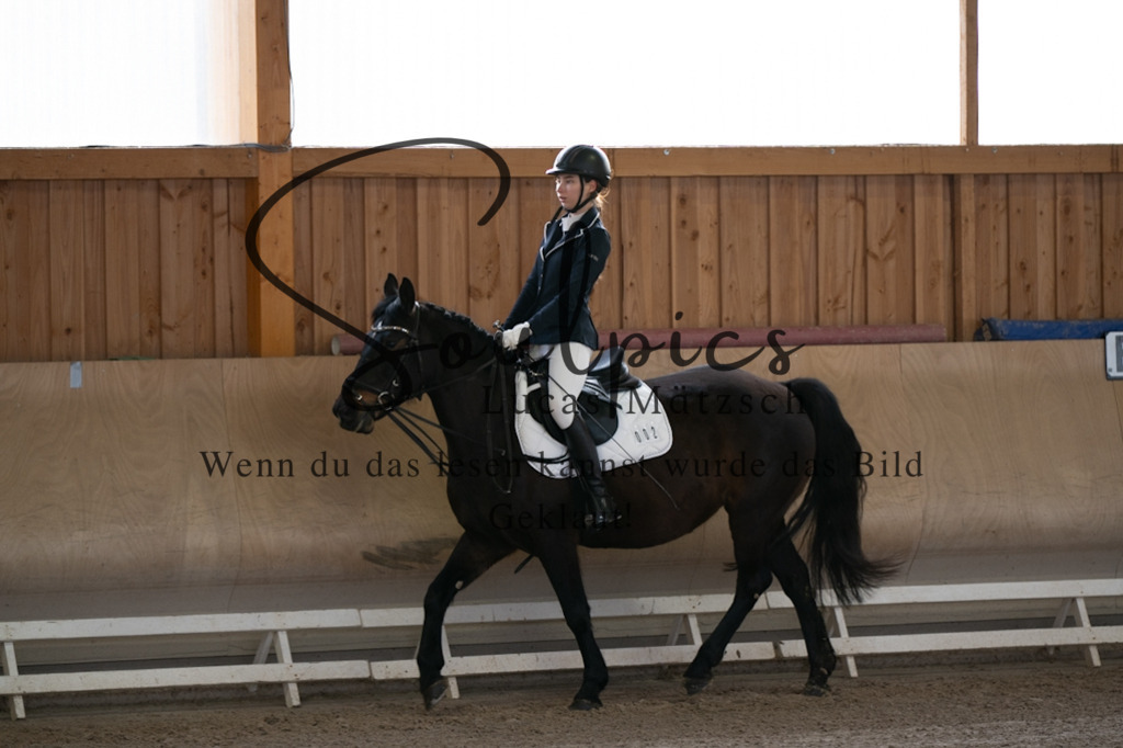 A7V09022 | Pferdefotograf