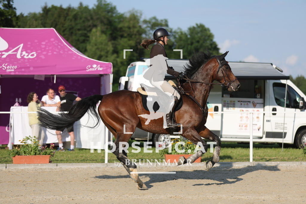 0P6A6637 | Willkommen bei Brunnmayr - Design & Fotografie – Ihrem Spezialisten für Reitturniere und Pferdeveranstaltungen in Oberösterreich, Salzburg und Bayern! Seit über 17 Jahren sind wir leidenschaftlich dabei.