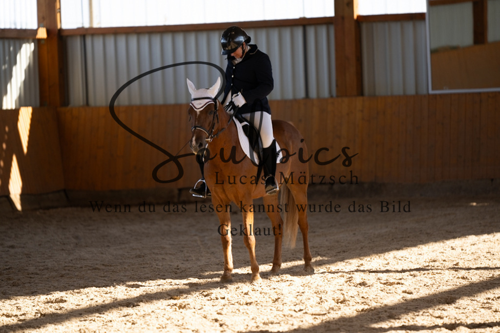 A7V01837 | Pferdefotograf