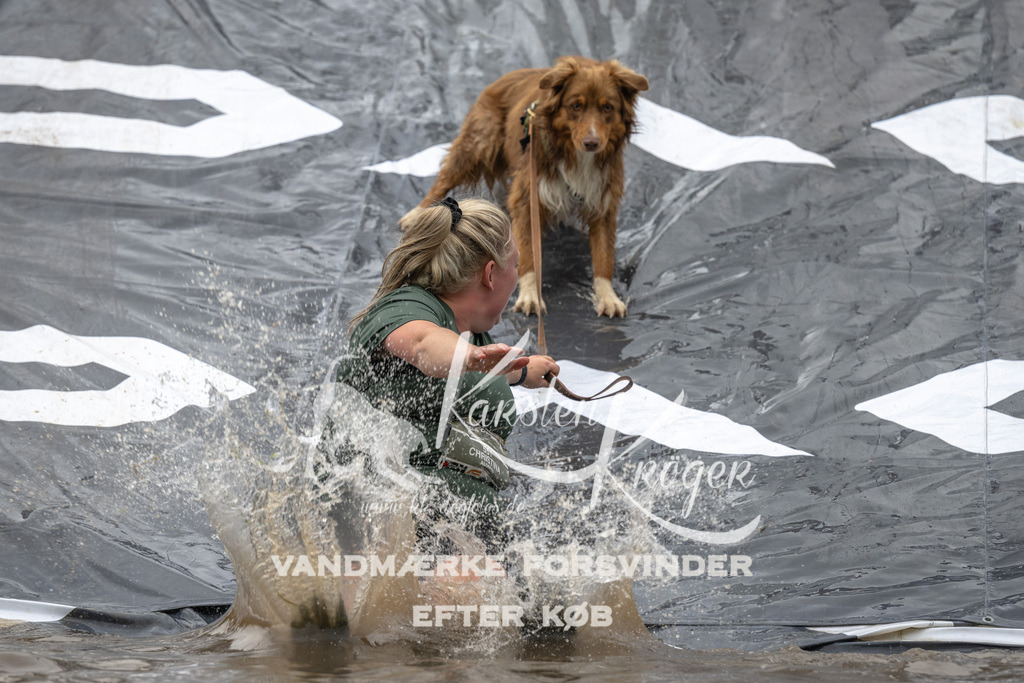 1558_ZZ91791 | kk-dogfotos