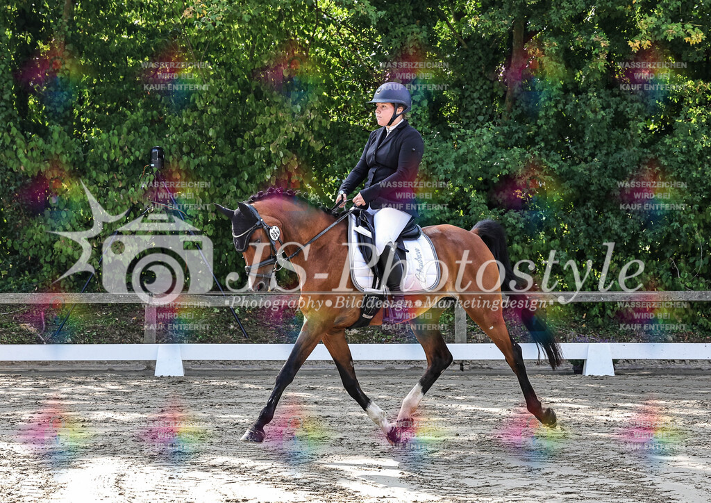 20250726_Dressurprfg_Kl.A-29 | JS-PHOTOSTYLE
