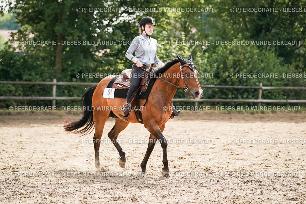 DSC05002 | Pferdegrafie