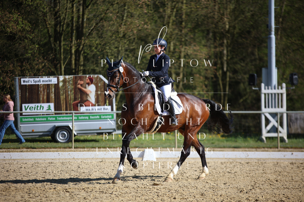 IMGT9086 | pl-fotografie