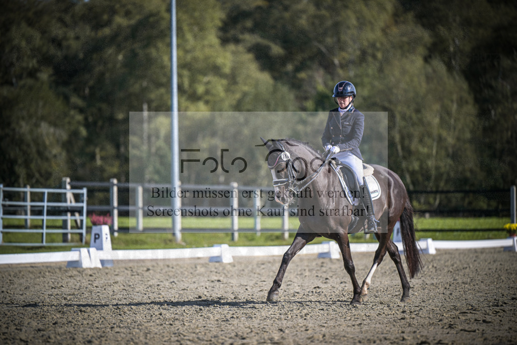 DOS_3162 | Entdecke hochwertige Reitturnierfotos von Foto Oger. Professionell, emotional und authentisch – jetzt Lieblingsmomente im Shop bestellen.Deutschlandweite Turnierfotografie. - Realisiert mit Pictrs.com
