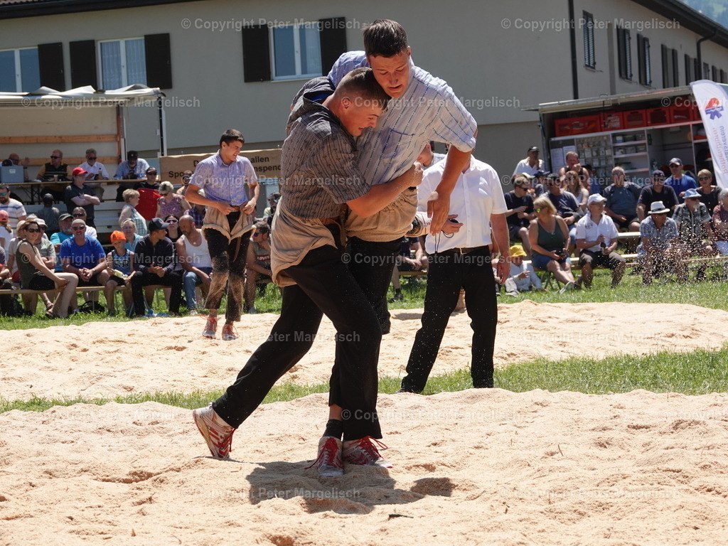 DSC04747 | Schwingen - Realisiert mit Pictrs.com