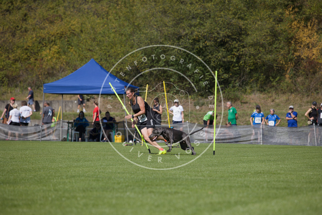 0L8A6560 | Hundefotografie, Tierfotograf, Pfotenfotografie, Fotoshooting Hund, Hunde Portrait, Hundesport, Hundeportraits, Heideshooting, Hunde, Sportfotograf, Hundefotograf, Turnierhundsport, THS,  - Realisiert mit Pictrs.com