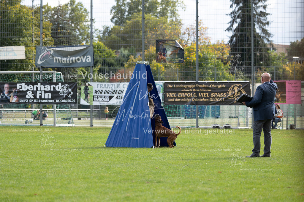 _16A7021 | Einzigartige Fotos von Hunden & Menschen –Actionfotos, Portraits, Vereinsaufnahmen & Paarshootings – authentisch, lebendig & mit Herz.