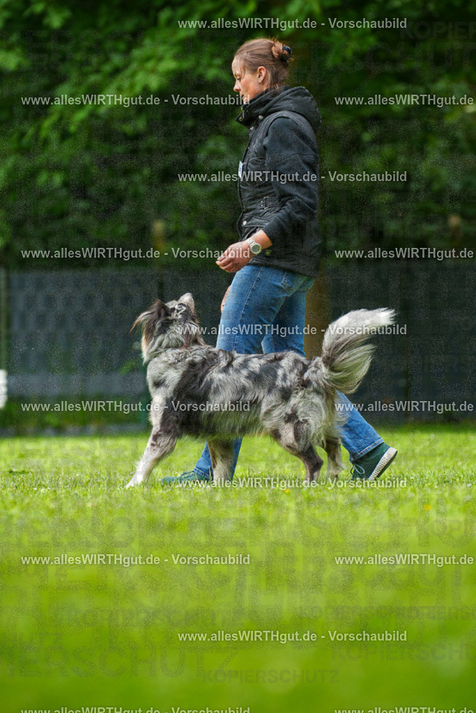 @allesWIRTHgut_Tierfotografie - www.allesWIRTHgut.de - 7R500278 | Professionelle Tierfotografie in Mönchengladbach von Daniel Wirth (allesWIRTHgut). Liebevolle & natürliche Bilder von Hunden & Katzen für unvergessliche Erinnerungen.