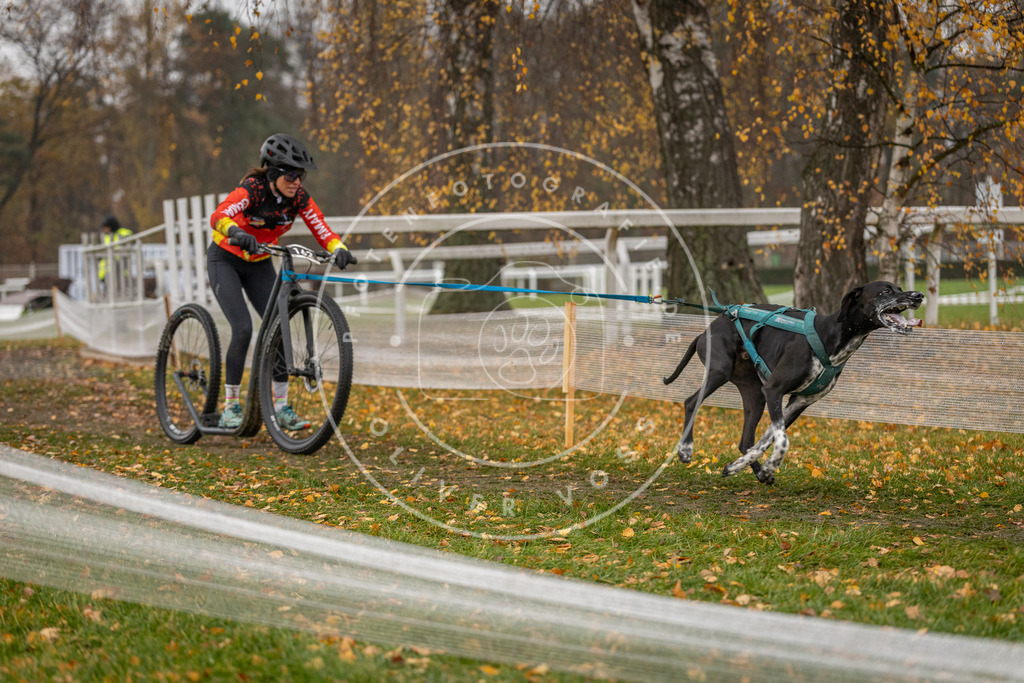 CaniXpix_DV3A8381 | Hundefotografie, Tierfotograf, Pfotenfotografie, Fotoshooting Hund, Hunde Portrait, Hundesport, Hundeportraits, Heideshooting, Hunde, Sportfotograf, Hundefotograf, Turnierhundsport, THS,  - Realisiert mit Pictrs.com