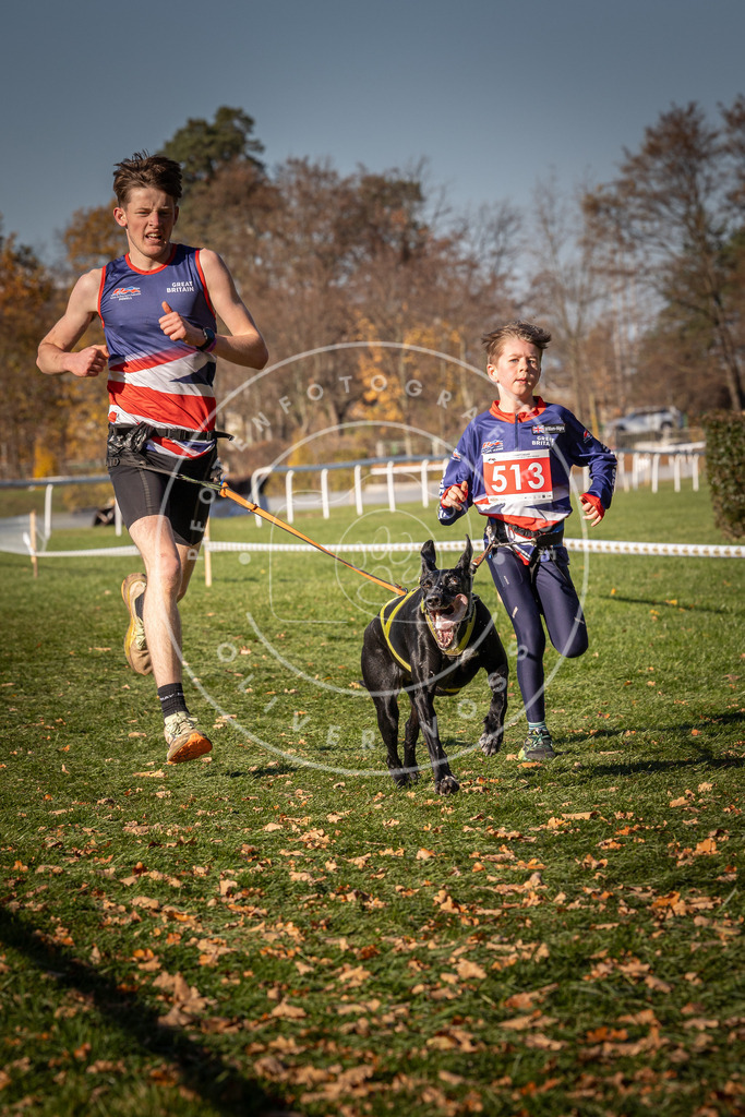 CaniXpix_0L8A6838 | Hundefotografie, Tierfotograf, Pfotenfotografie, Fotoshooting Hund, Hunde Portrait, Hundesport, Hundeportraits, Heideshooting, Hunde, Sportfotograf, Hundefotograf, Turnierhundsport, THS,  - Realisiert mit Pictrs.com