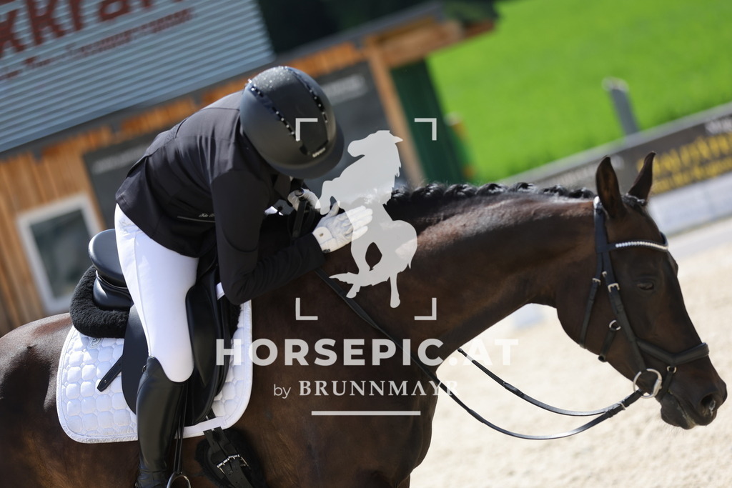 0P6A6348 | Willkommen bei Brunnmayr - Design & Fotografie – Ihrem Spezialisten für Reitturniere und Pferdeveranstaltungen in Oberösterreich, Salzburg und Bayern! Seit über 17 Jahren sind wir leidenschaftlich dabei.