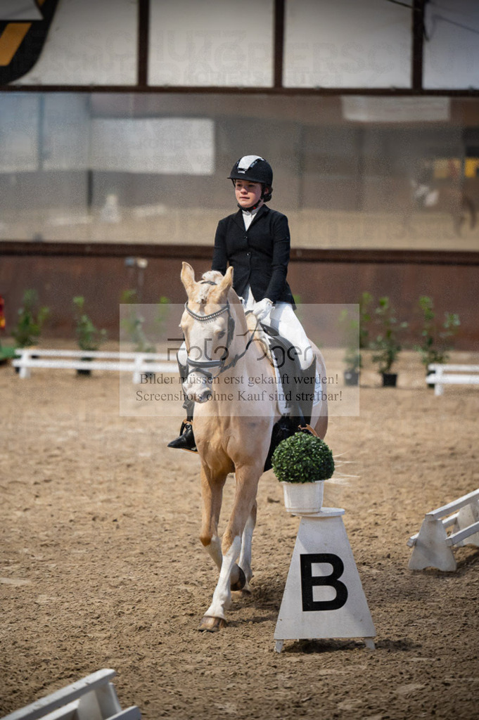 Hallenreittunier Voxtrup 2023 | Entdecke hochwertige Reitturnierfotos von Foto Oger. Professionell, emotional und authentisch – jetzt Lieblingsmomente im Shop bestellen.Deutschlandweite Turnierfotografie. - Realisiert mit Pictrs.com
