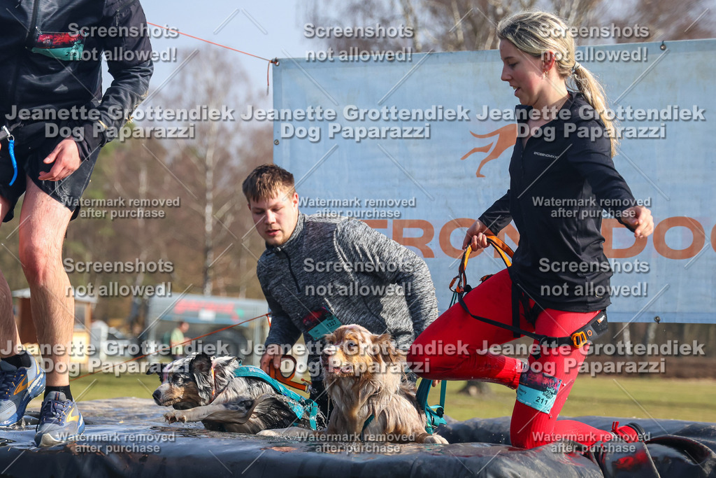 Dog Paparazzi - Strongdog North Mrz26-1821 | Dog Paparazzi Jeanette Grottendiek Fotografie & Videografie - Realisiert mit Pictrs.com