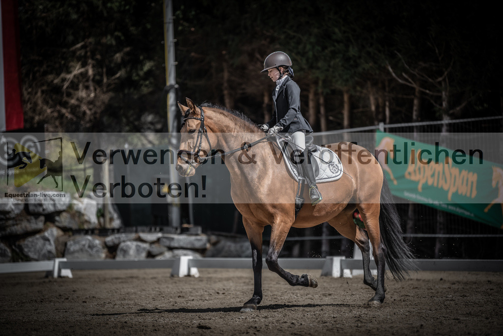 DSC_0818 | equestrian-live-com