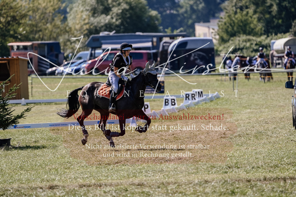 DSC_1789 | Pferde- und Turnierfotografie in Westsachsen. Pferdeportraits, Auftragszeichnungen und intuitive Kunst.