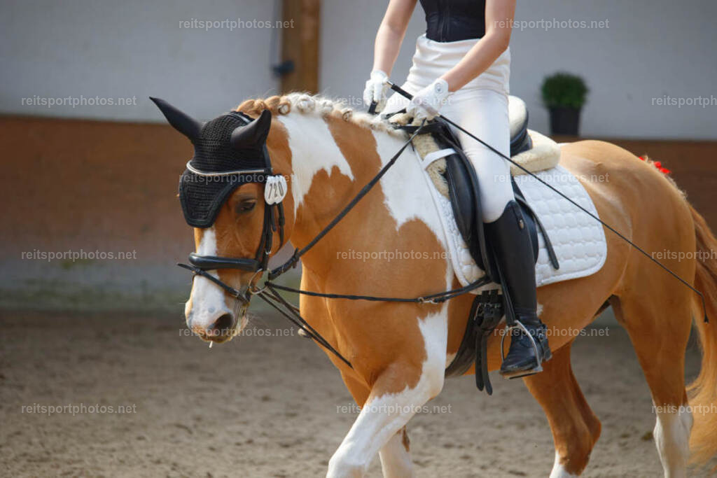 JHE_4851 | JoYa Fotografie - Realisiert mit Pictrs.com