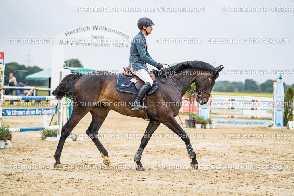 DSC02585 | Pferdegrafie