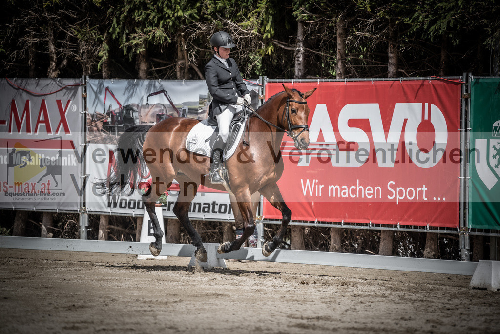 DSC_2429 | equestrian-live-com