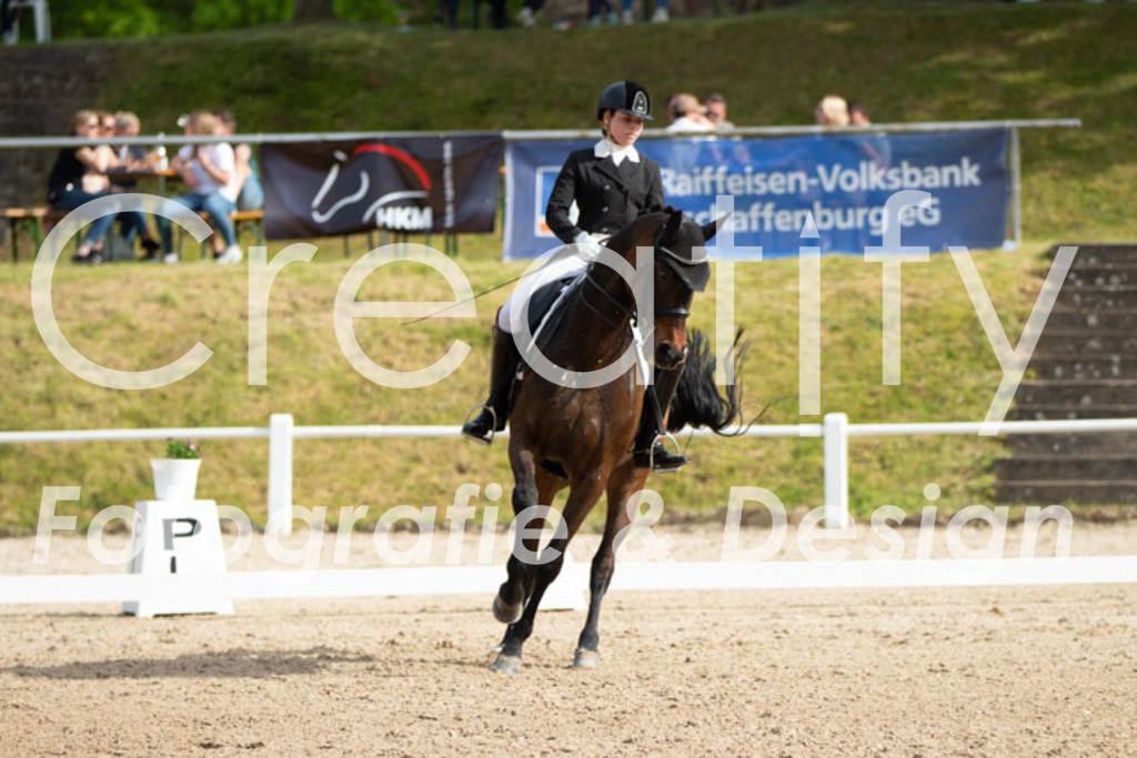 IMG_8234 | Creatify Fotografie