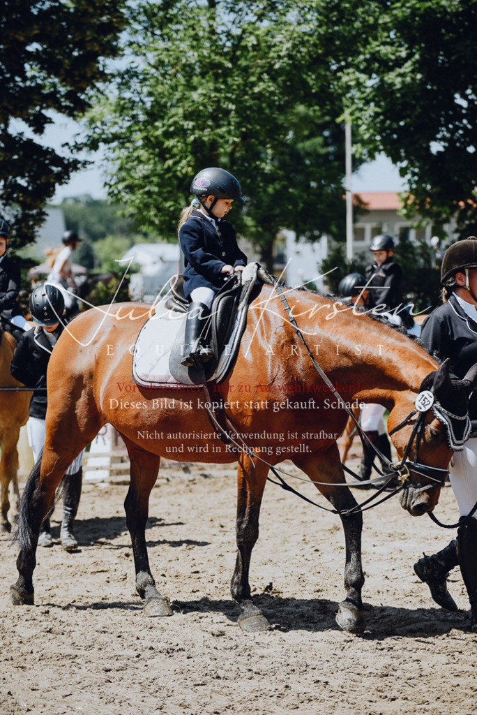 DSC_2560 | Pferde- und Turnierfotografie in Westsachsen. Pferdeportraits, Auftragszeichnungen und intuitive Kunst.