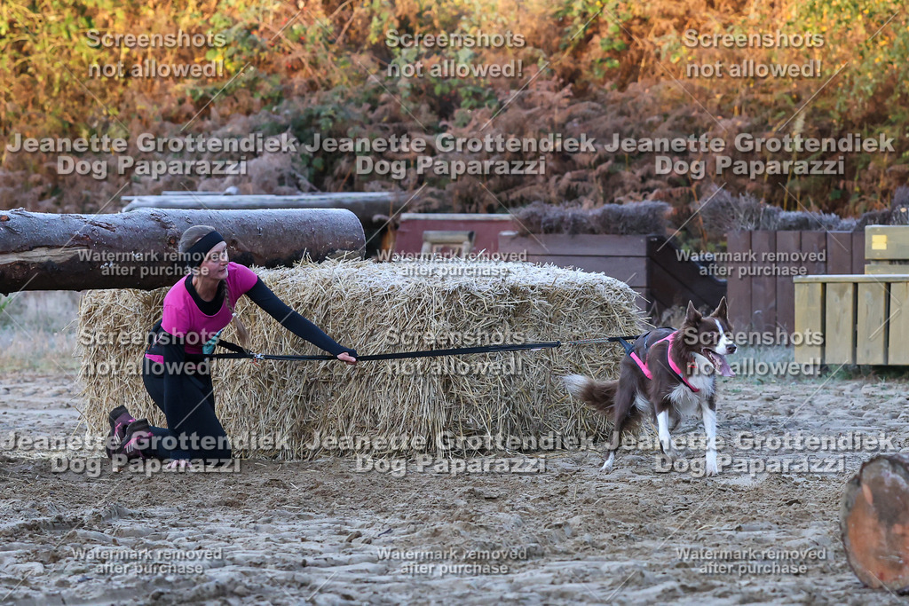 Dog Paparazzi - Strongdog 10-25-374 | Dog Paparazzi Jeanette Grottendiek Fotografie & Videografie - Realisiert mit Pictrs.com