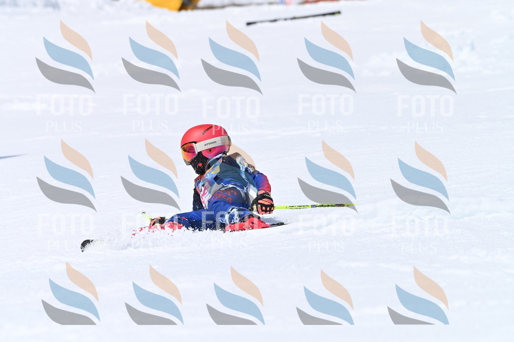 BGV_3684 | holidayphoto