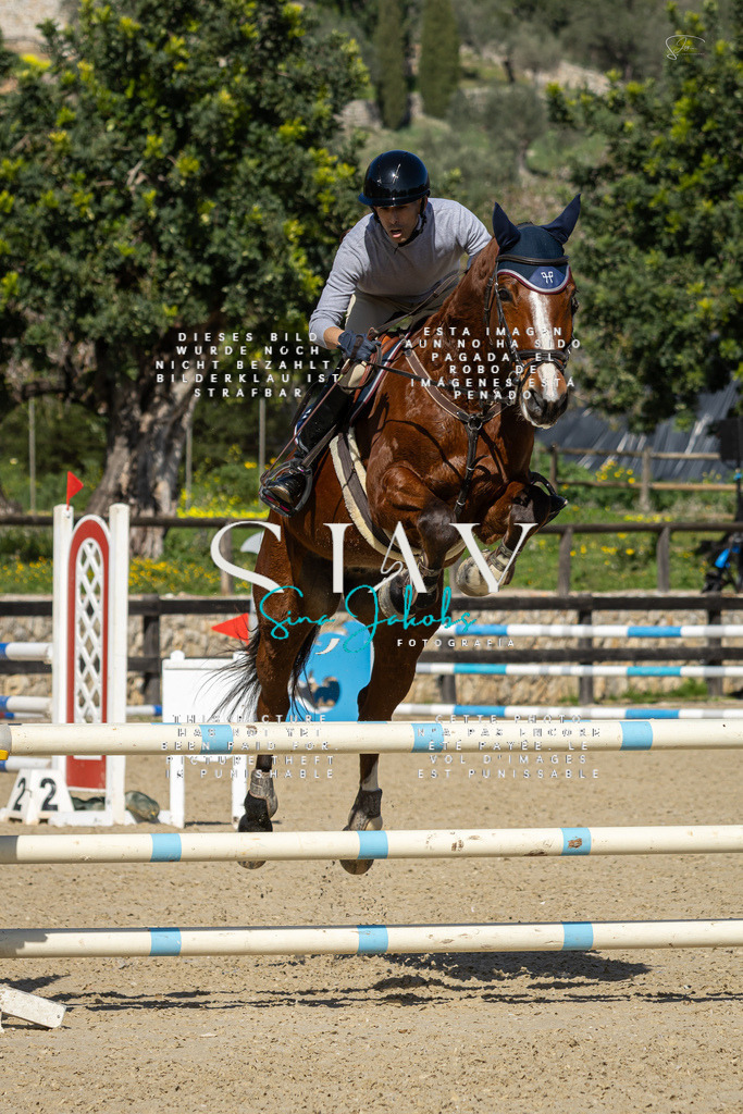 IMG_6556 | s-jay-photography - Realisiert mit Pictrs.com