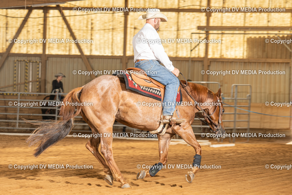 NID01807 | dv-media-shop - Realisiert mit Pictrs.com