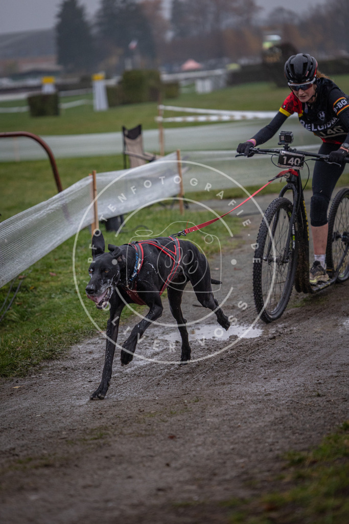 CaniXpix_0L8A0631 | Hundefotografie, Tierfotograf, Pfotenfotografie, Fotoshooting Hund, Hunde Portrait, Hundesport, Hundeportraits, Heideshooting, Hunde, Sportfotograf, Hundefotograf, Turnierhundsport, THS,  - Realisiert mit Pictrs.com