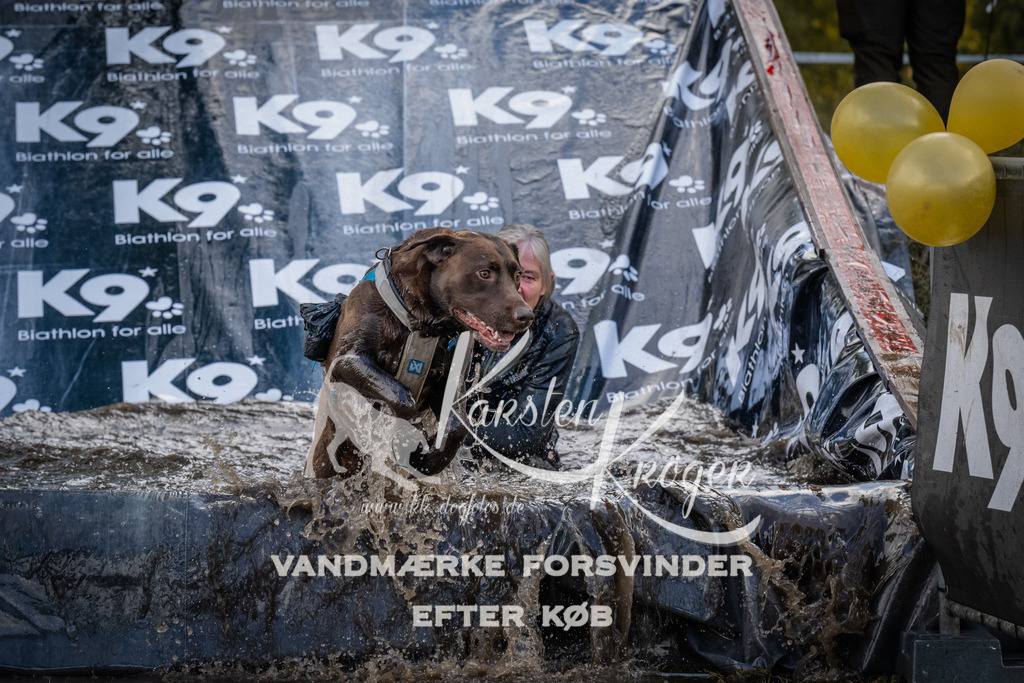 1518_ZZ94400 | kk-dogfotos