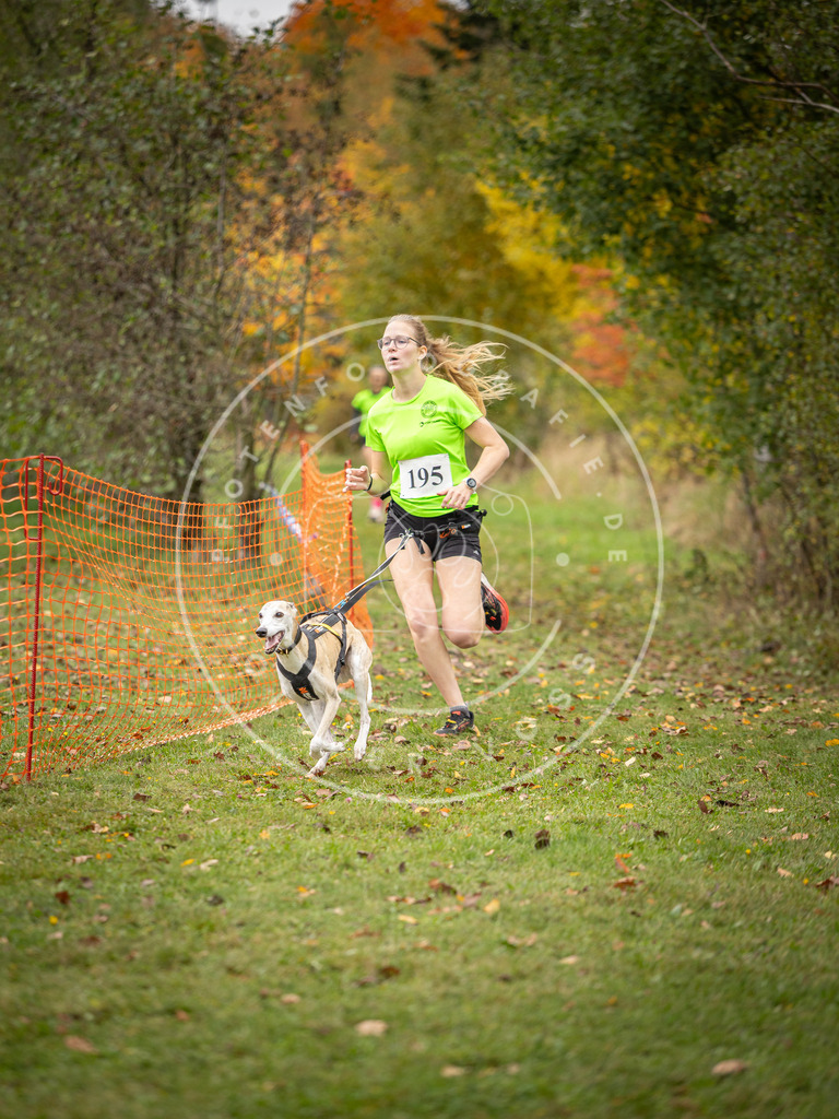 Pfotenfotografie_DV3A3909 | Hundefotografie, Tierfotograf, Pfotenfotografie, Fotoshooting Hund, Hunde Portrait, Hundesport, Hundeportraits, Heideshooting, Hunde, Sportfotograf, Hundefotograf, Turnierhundsport, THS,  - Realisiert mit Pictrs.com
