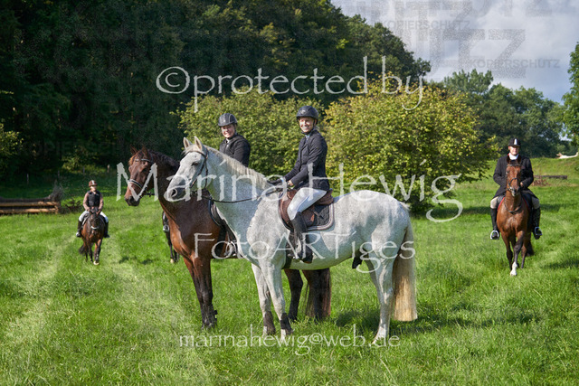 08-23 Bredeneek Jagd_MCH8627_Marina Hewig | Fotografie, FotoArt, PferdesportArt, Pferdesportfotografie, Landschaftsfotografie, Reisefotografie, Reise, Pferde - Realisiert mit Pictrs.com