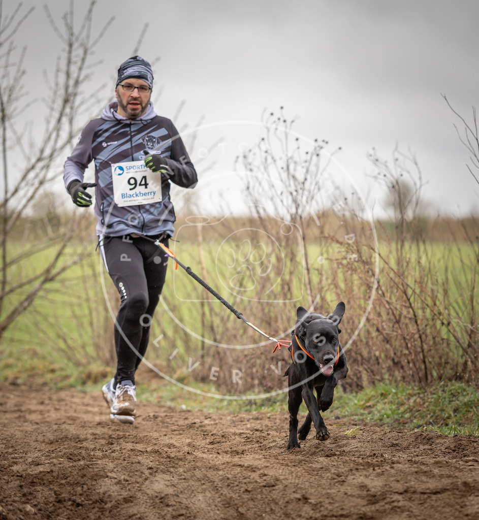 DV3A0062 | Hundefotografie, Tierfotograf, Pfotenfotografie, Fotoshooting Hund, Hunde Portrait, Hundesport, Hundeportraits, Heideshooting, Hunde, Sportfotograf, Hundefotograf, Turnierhundsport, THS,  - Realisiert mit Pictrs.com