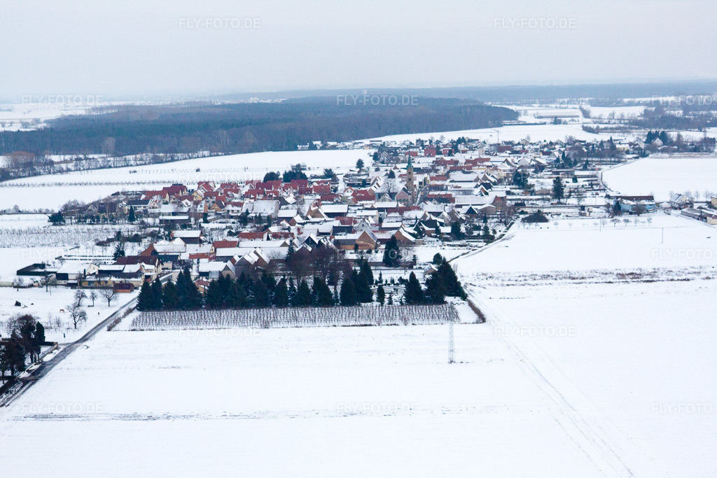 Luftbild: Im Winter bei Schnee von Westen in Erlenbach bei Kandel im Bundesland Rheinland-Pfalz in Deutschland. Foto: IMG_23810.jpg vom 16.01.2010 durch Werner Riehm/FLY-FOTO.de