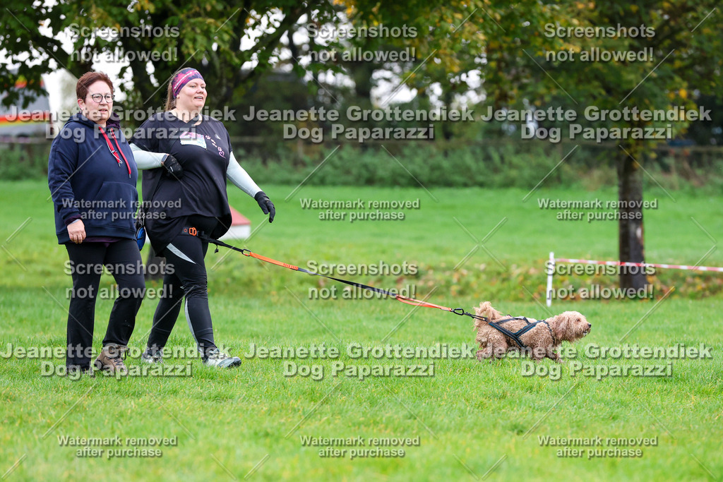 Dog Paparazzi -  SD1026-956 | Dog Paparazzi Jeanette Grottendiek Fotografie & Videografie - Realisiert mit Pictrs.com