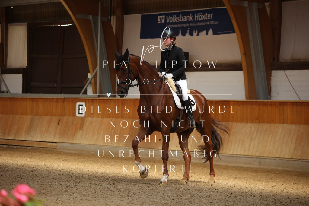 IMGM4875 | pl-fotografie